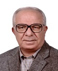 dr-hosseinali